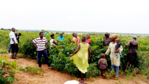 Farmers at AAPA Farm