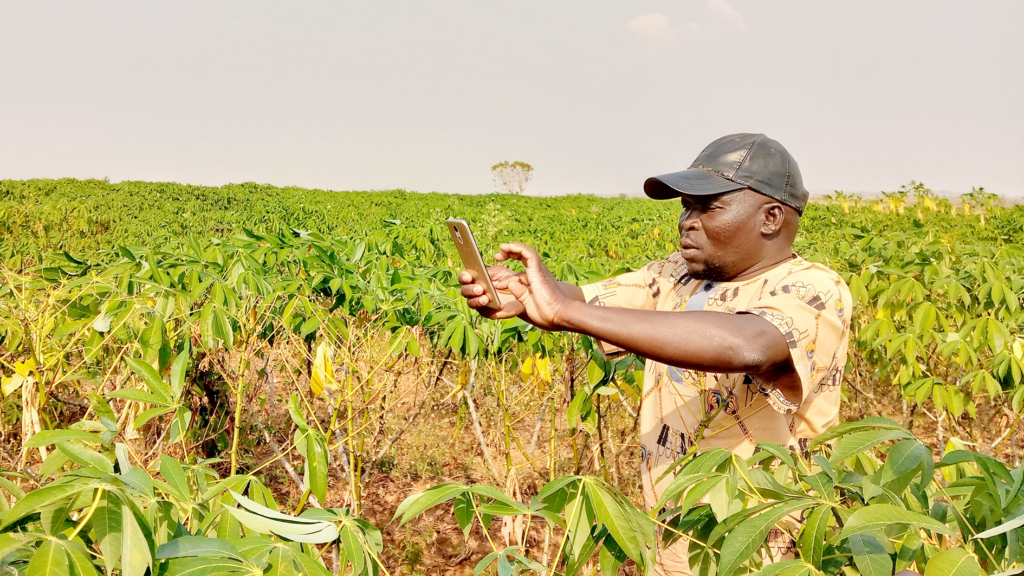 Angal, Area, Producers, Association, Cooperative, society, limited, company, non, governmental, profit, business, Nyaravur, Nebbi, Arua, West Nile, Albert, Nile, Lake, DR Congo, South, Sudan, Farming, Agro-processing, Value addition, industrialization, cassava, farmers, agribusiness, crop, grains, animal seed multiplication, mechanization, precision agriculture, soy beans, cereals, community, based, rural, producers, organization, multi stakeholders, 